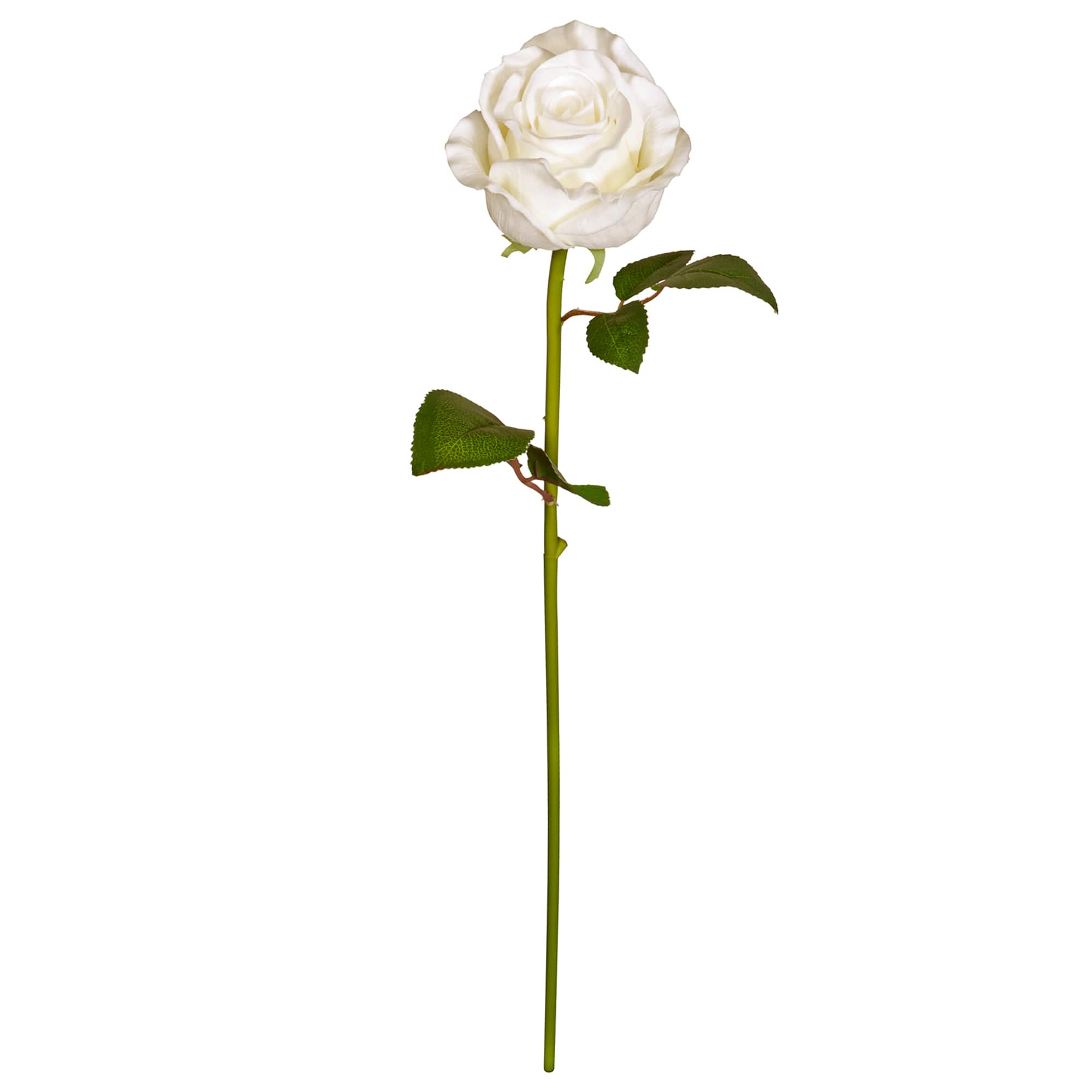 Faux Rose by Ashland